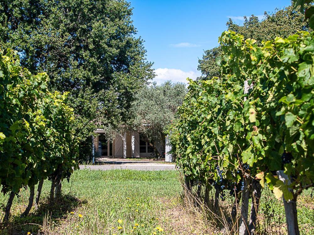 Au Detour Des Vignes Bed & Breakfast Ordonnac Ngoại thất bức ảnh